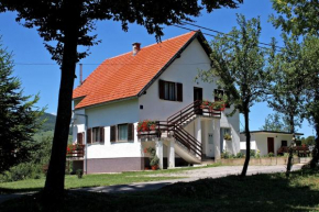 Apartments and rooms with parking space Smoljanac, Plitvice - 5194